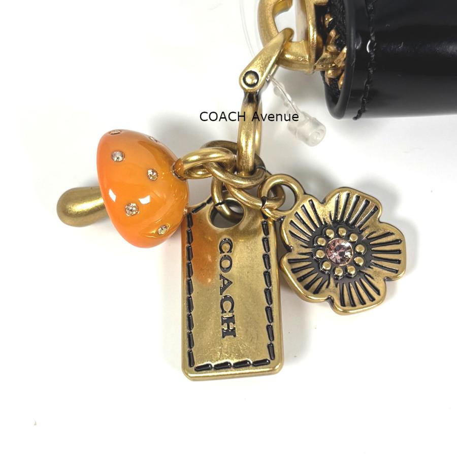 COACH（コーチ） なくなり次第終了セール COACH CCD80 エッセンシャル