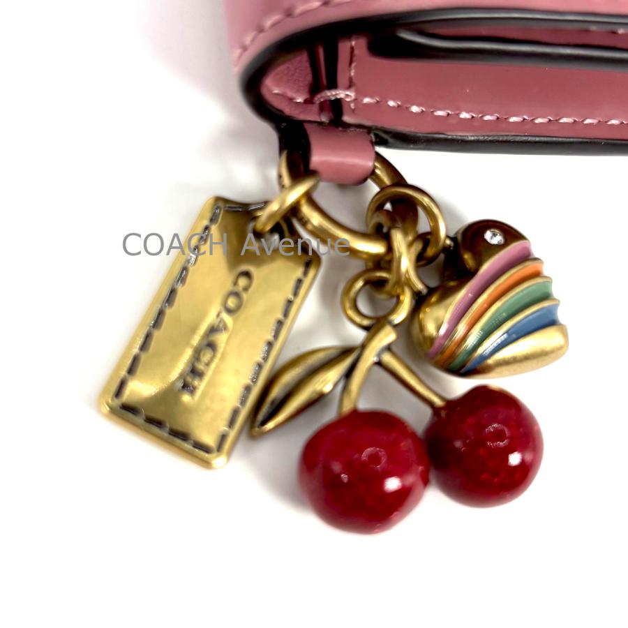 コーチ　coach 財布　ミニ財布　カードケース　新品 cd717dape.jpeg