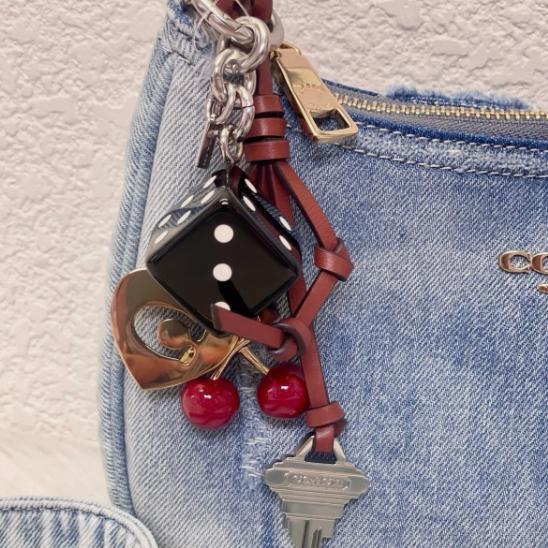 人気のデニムが可愛い コーチ COACH CDY76 テリ ショルダー バッグ ラブド デニム チャーム クロスボディ斜め掛け 肩掛け アウトレット 商品 送料無料の画像