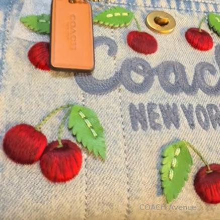 COACH ボディバッグ　ウエストバッグ　91066　Cロゴ　花柄　希少 COACH ボディバッグ ウエストバッグ 91066 Cロゴ 花柄 希少 COACH