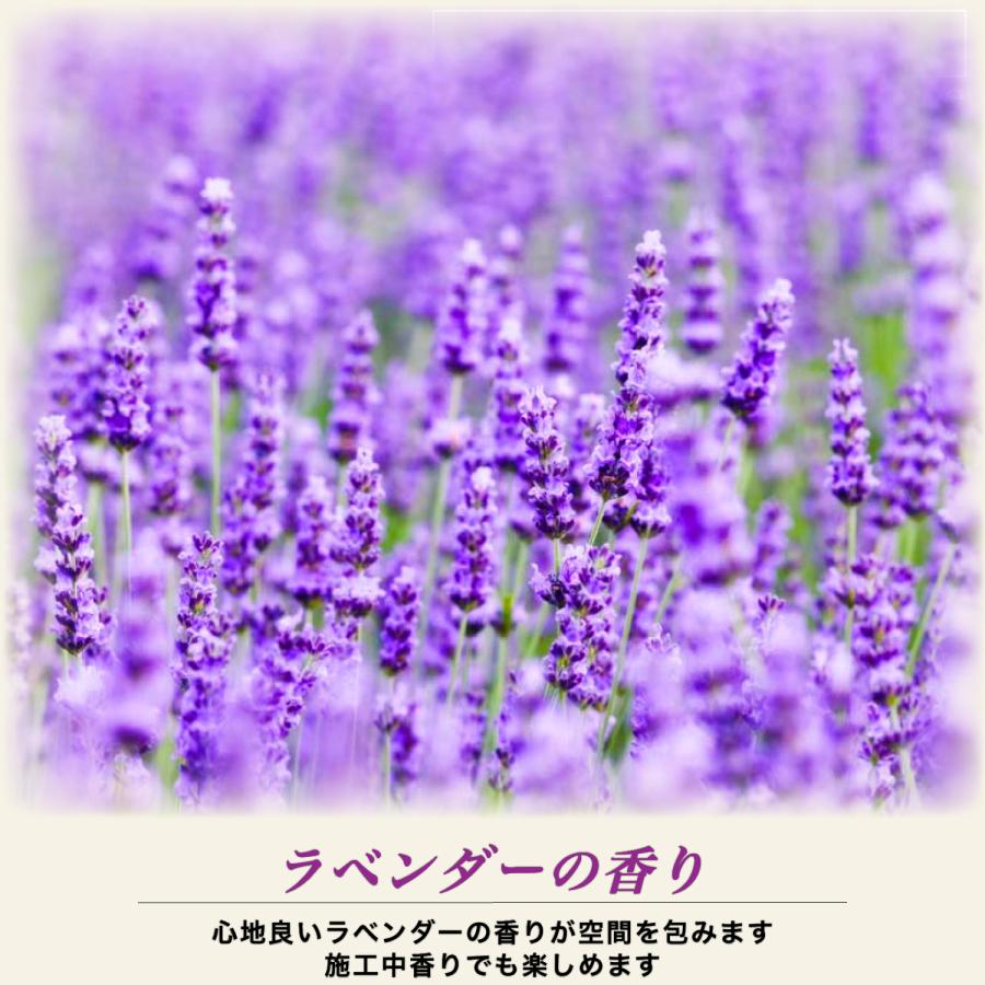 COAZ SELECTION　＜ フレーバーシャンプー 500mL ＞　コスパ・泡立ち抜群　普通車約20台分　洗車　シャンプー　カーシャンプー　泡　中性　ホイール　洗車用品 |  | 05