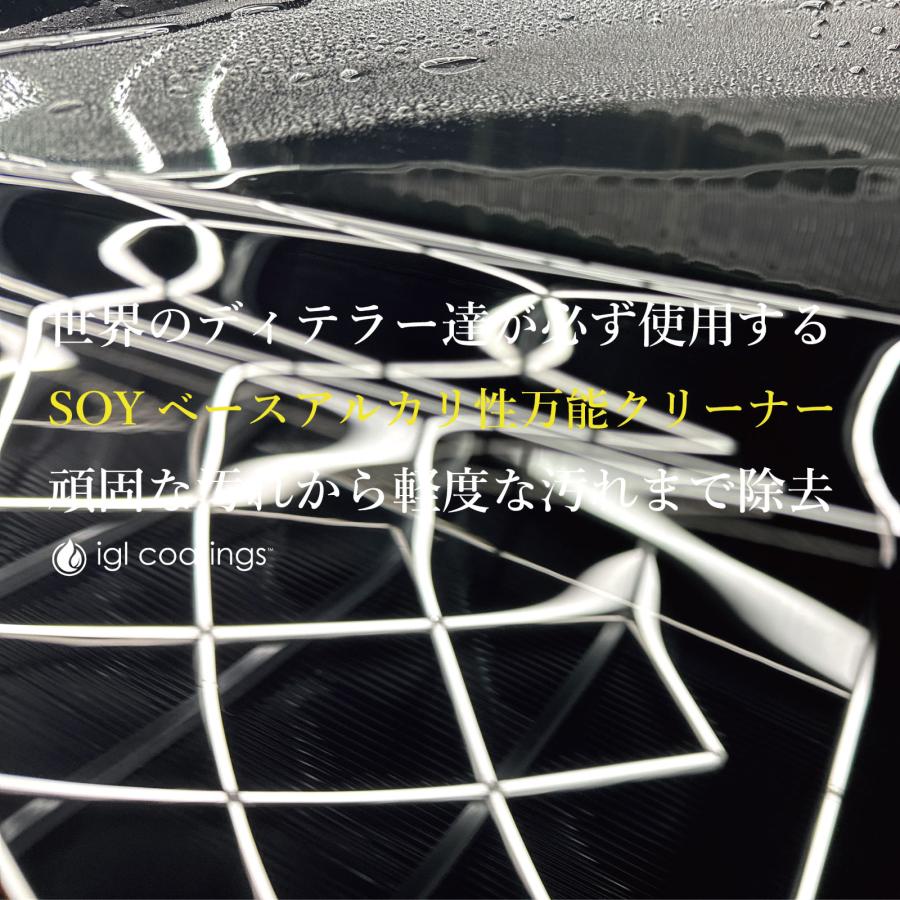【通常価格より11%OFF】 IGLコーティング　＜ マルチ ＞　多目的洗浄クリーナー　洗車　コーティング　下地処理　油汚れ　車内　ホイール　タイヤ　正規品 | igl coatings | 01