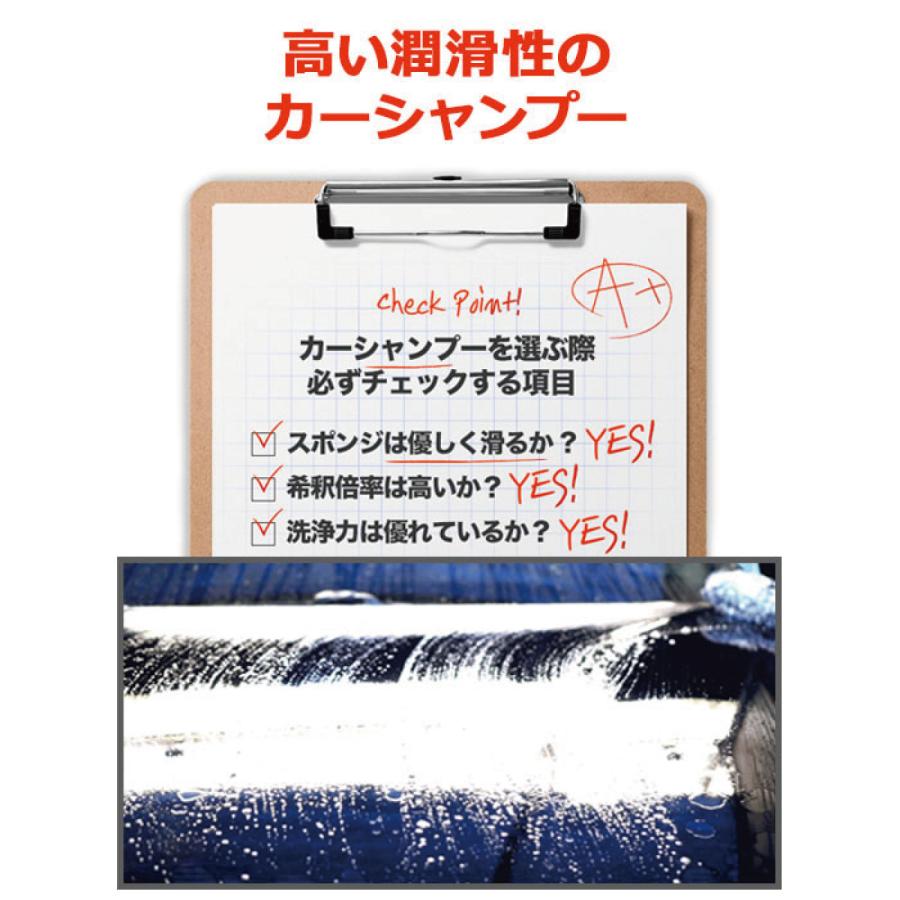 ザクラス　＜ ピュアスキン ＞　頑固な汚れを除去＆車本来の色を蘇らせる　酸性カーシャンプー　普通車約20台分　洗車　カーシャンプー　黄砂　THE CLASS |  | 04