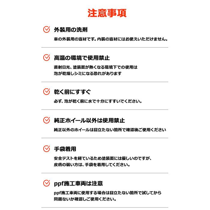 ザクラス　＜ ピュアスキン ＞　頑固な汚れを除去＆車本来の色を蘇らせる　酸性カーシャンプー　普通車約20台分　洗車　カーシャンプー　黄砂　THE CLASS |  | 09