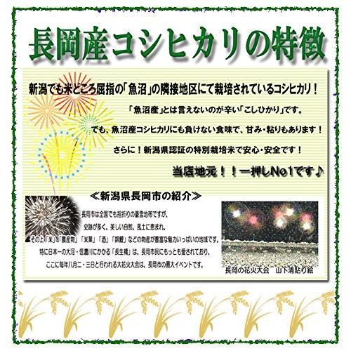 大注目 玄米 25kg 令和2年産 新潟県ながおか産 コシヒカリ 安心安全な特別栽培米 玄米25kg 初回限定 Www Kingfishswimming Com