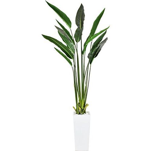 ショッピング大人気 Doris ドリス 人工観葉植物 光触媒 簡単世話いらず フェイクグリーン インテリア 水やり不要 陶器鉢 ストレリチ ハンドメイド Www Brandingby8 Com