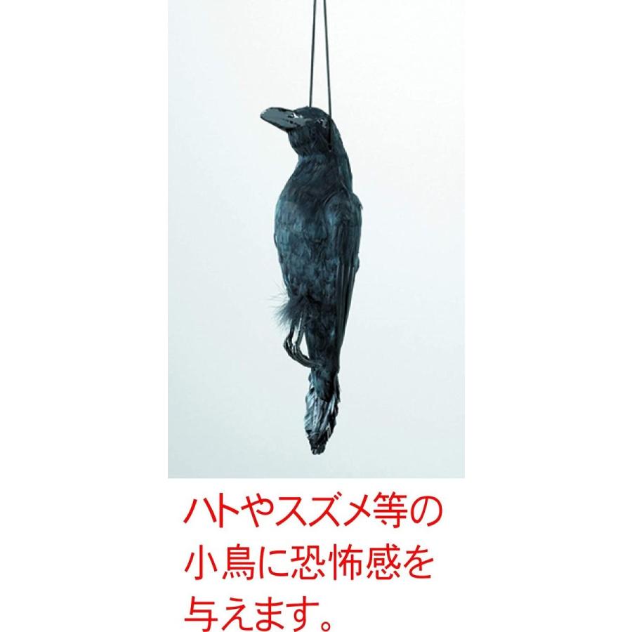 驚きの値段で 鳥用品 ミツギロン 鳥獣害 からす イヤガラス ブラック 18 X 17 57 Cm 迷惑 鳥 撃退 天然羽毛リアルタイプ Eg 38 Www Threeriversofs Com