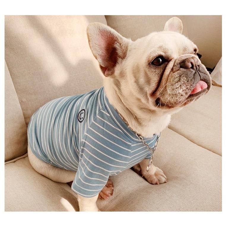 2点セット 犬の服 ペット親子お揃い 犬とオーナーがペアルック出来る 春夏小型犬 中型犬 大型犬 親子ペア ボーダー ドッグウェア Petwear Cobalt Shop 通販 Yahoo ショッピング