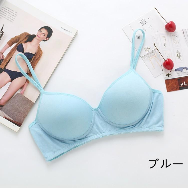 送料無料 シルク ブラジャー ノンワイヤー 敏感肌 乾燥肌 こだわりシルク ブラジャー 絹 シルク 下着 シルクニット Zny Cobalt Shop 通販 Yahoo ショッピング