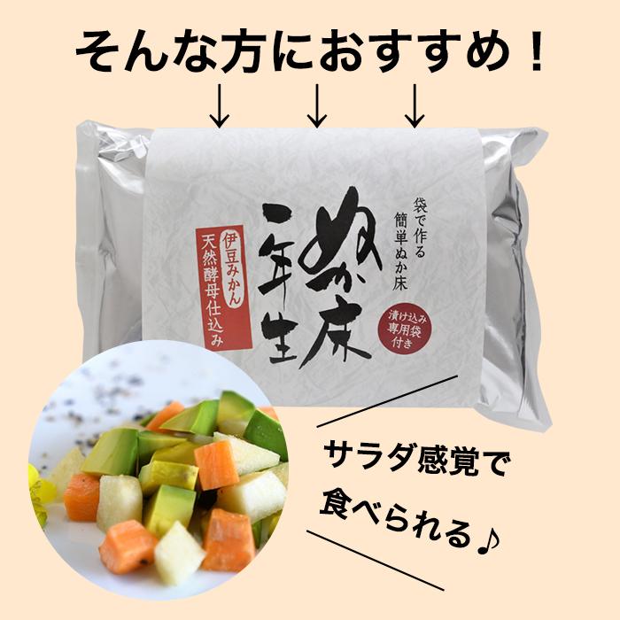 ジッパー袋タイプ ぬか床一年生パック550g×3袋 冷蔵庫対応 発酵食品