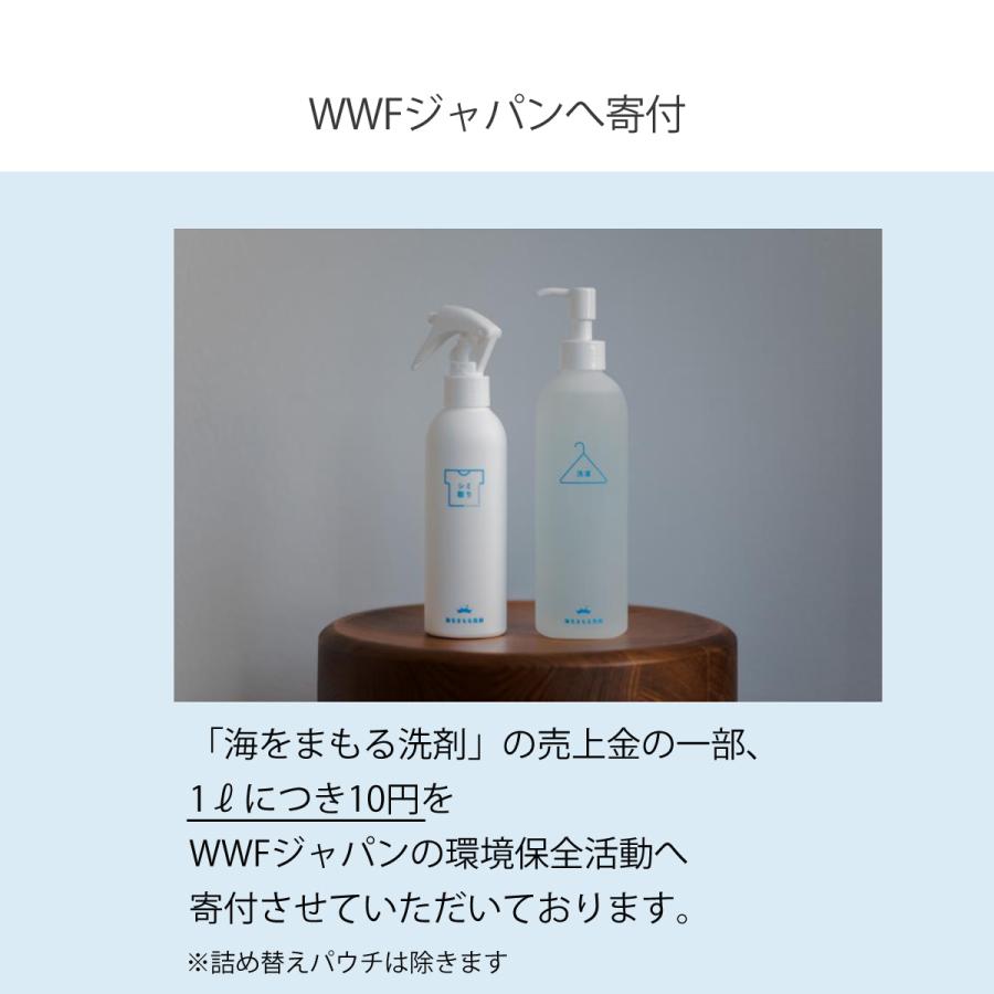 海をまもる洗剤 洗濯用 ポンプボトル 300ml 無香料 洗濯用洗剤 液体