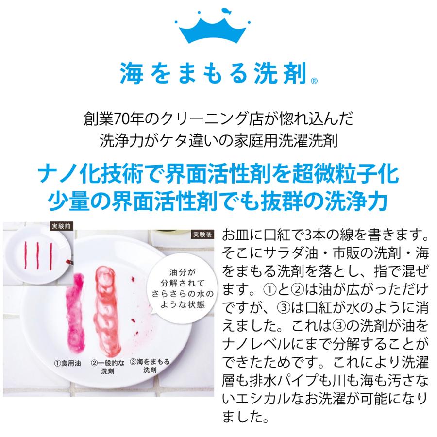 海をまもる洗剤 洗濯用 ポンプボトル 300ml 無香料 洗濯用洗剤 液体
