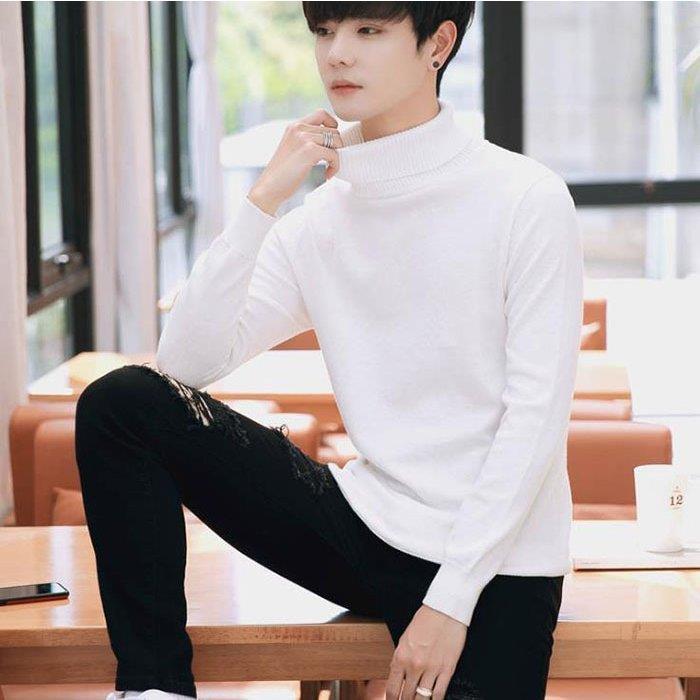 人気の贈り物が大集合 タートルネック メンズ セーター トップス セーター 無地 ニット タートルネック メンズ セーター ニット 新作 プルオーバー タートルネックセーター セーター ハイネック トップス セーター 無地 トップス