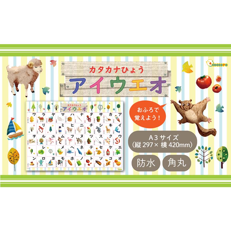 カタカナ表 ポスター A3サイズ 防水 お風呂で使える Coccoro Ccry Aiueo K Coccoro Yahoo 店 通販 Yahoo ショッピング