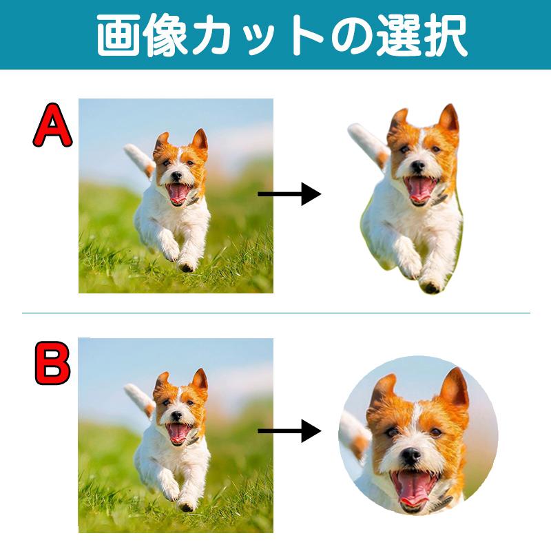 GOATBED / 『お前の犬になりたい』+パーカー+写真集 ★会場限定盤 GOATBED / 『お前の犬になりたい』+パーカー+写真集 ☆会場限定