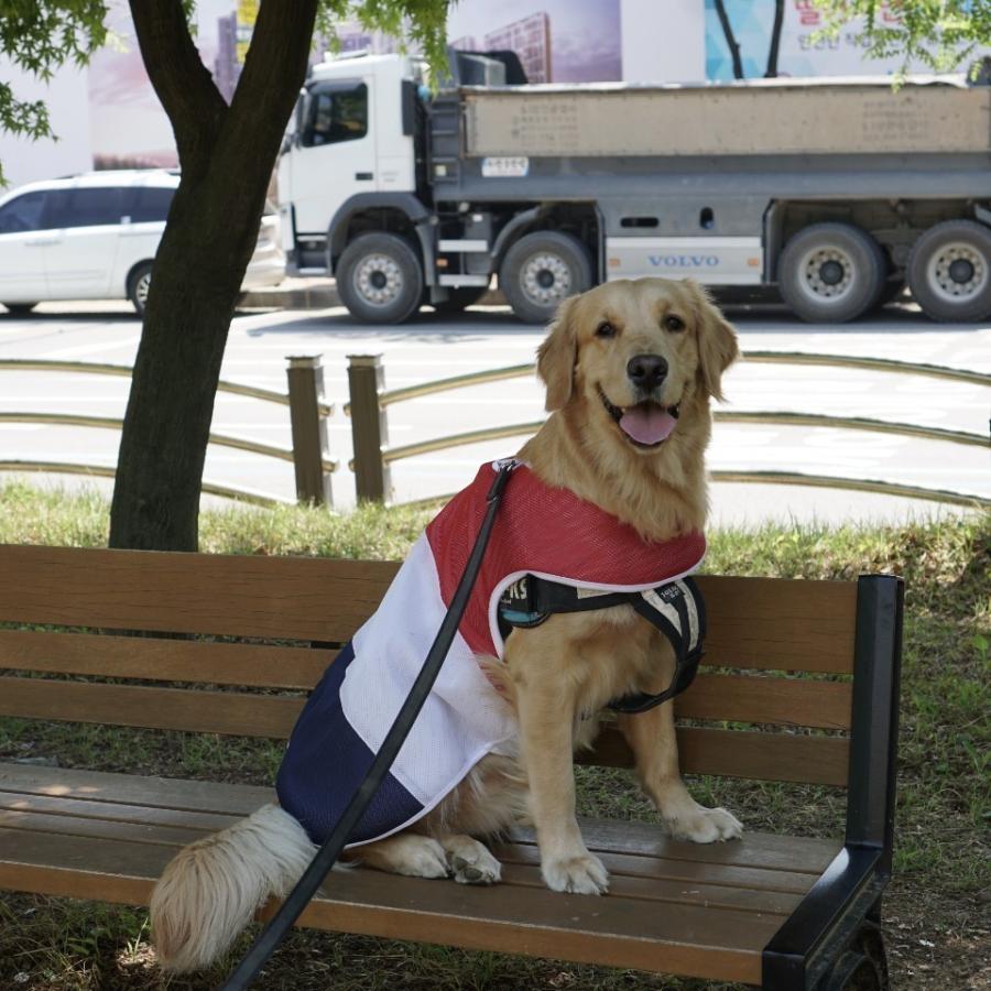 【専用】大型犬服 クールベスト ~オクラと焼き鳥~ Amazon | ICOUCHI 犬用クールベスト 冷感服 冷却ベスト ひんやり