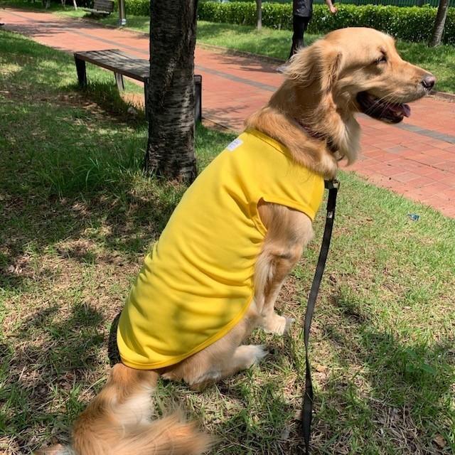 超 大型 メッシュ ひんやり クール 犬 スマイル 接触 ベスト 6xl 冷感 無地 スカーフ付き 服 Tシャツ