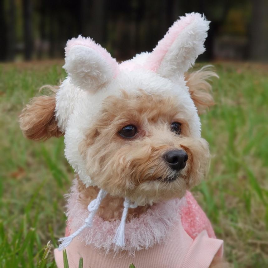 犬 服 犬の帽子うさ耳 トナカイ耳 スヌード 動物帽子 S M L 小型 犬 中型 犬 冬 ボア フリース 軽量 防寒 Doggystar ドッギースター Ca 2 Cockerpapa Doggystar 通販 Yahoo ショッピング