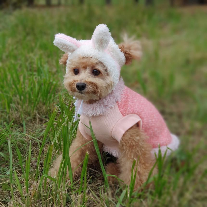 犬 服 犬の帽子うさ耳 トナカイ耳 スヌード 動物帽子 S M L 小型 犬 中型 犬 冬 ボア フリース 軽量 防寒 doggystar ドッギースター |  | 08