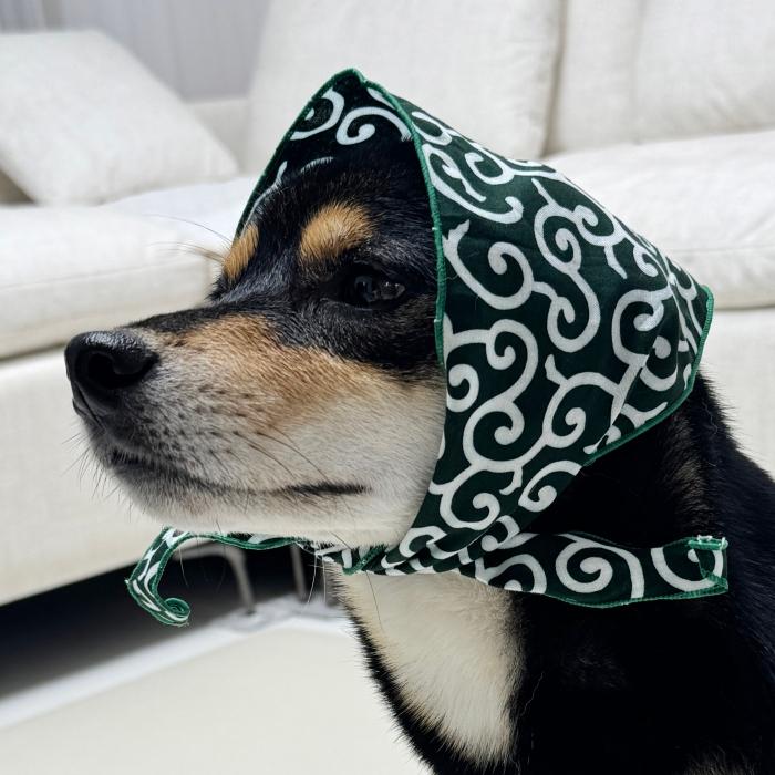 犬 服 バンダナ スカーフ 唐草模様 S 春 夏 秋 冬 アクセサリー 雑貨 小型犬 中型犬 大型犬 doggystar ドッギースター |  | 15