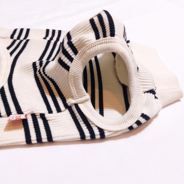 DAKS（ダックス） ダックスフンド 服 ストライプ ボーダー Tシャツ