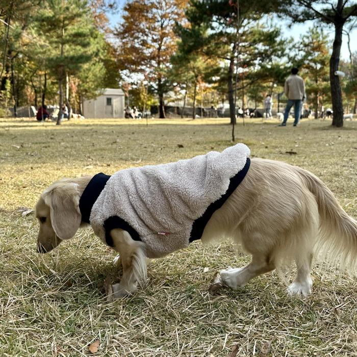 ダックスフンド 服 Tシャツ ポケットボア 小型犬 中型犬 冬 ダックス おしゃれ 犬 洋服 doggystar ドッギースター |  | 10