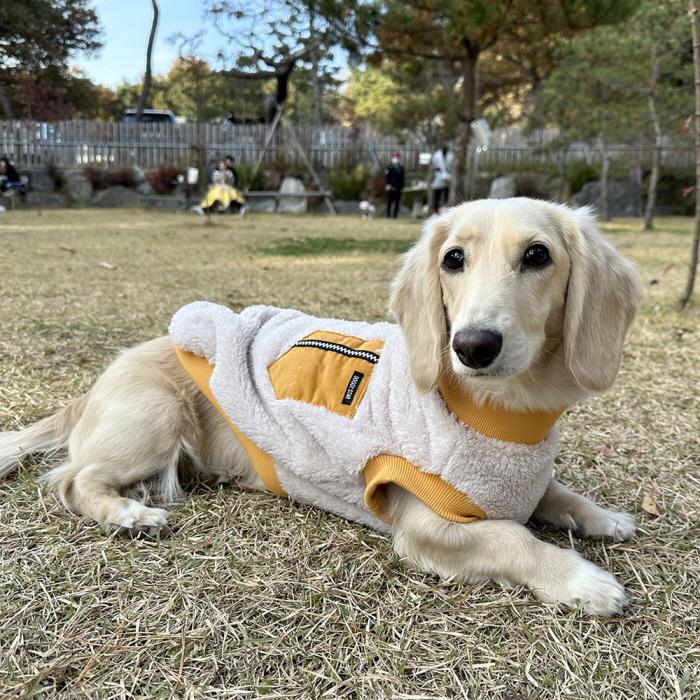 ダックスフンド 服 Tシャツ ポケットボア 小型犬 中型犬 冬 ダックス おしゃれ 犬 洋服 doggystar ドッギースター |  | 13