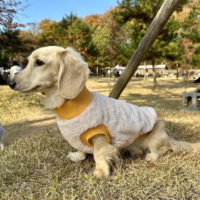 ダックスフンド 服 Tシャツ ポケットボア 小型犬 中型犬 冬 ダックス おしゃれ 犬 洋服 doggystar ドッギースター |  | 14
