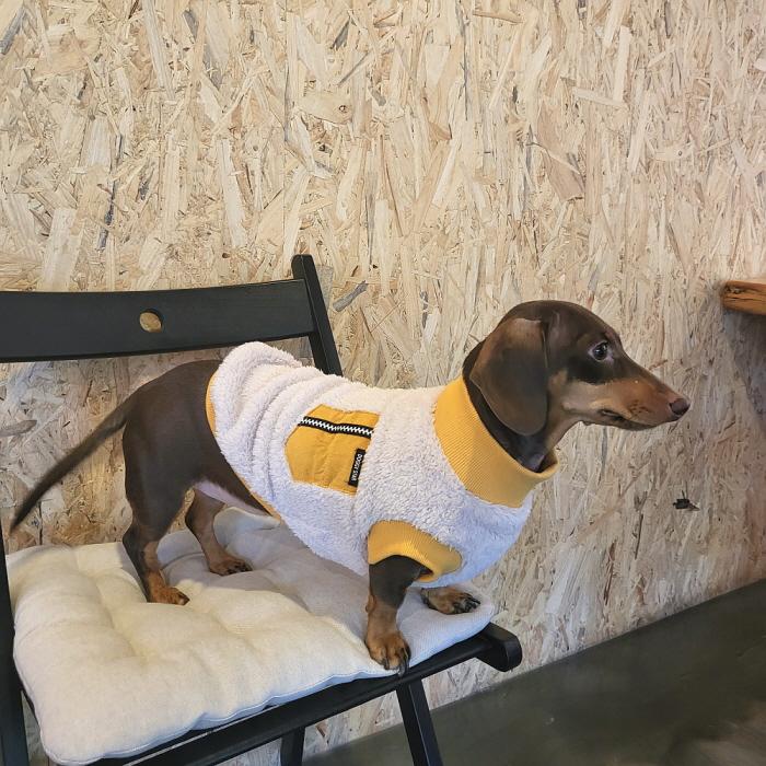 ダックスフンド 服 Tシャツ ポケットボア 小型犬 中型犬 冬 ダックス おしゃれ 犬 洋服 doggystar ドッギースター |  | 16