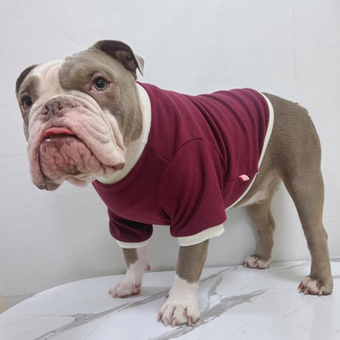 フレブル 服 フレンチブルドッグ 2XL フリース 無地 長袖 Tシャツ 冬
