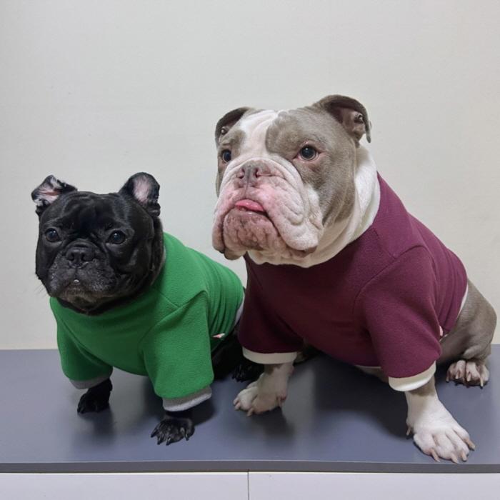 フレブル 服 フレンチブルドッグ 2XL フリース 無地 長袖 Tシャツ 冬