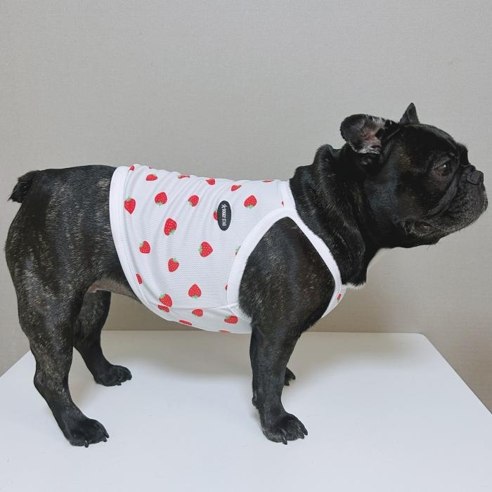 フレブル服 吸汗速乾 いちご メッシュ クロップド タンクトップ L XL 2XL 3XL 4XL 5XL 中型犬 大型犬 フレンチブルドッグ 夏 doggystar ドッギースター | 