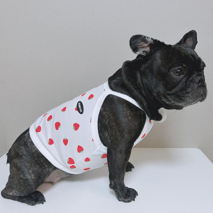 フレブル服 吸汗速乾 いちご メッシュ クロップド タンクトップ L XL 2XL 3XL 4XL 5XL 中型犬 大型犬 フレンチブルドッグ 夏 doggystar ドッギースター |  | 10