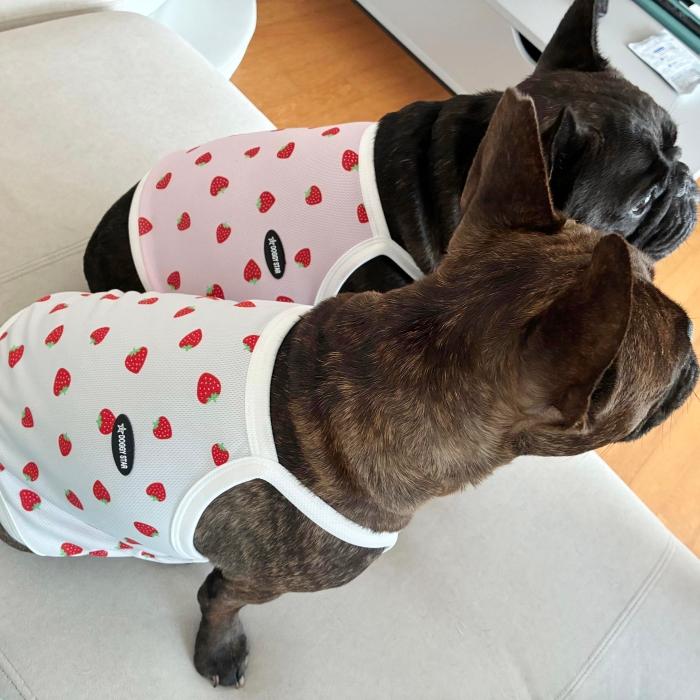 フレブル服 吸汗速乾 いちご メッシュ クロップド タンクトップ L XL 2XL 3XL 4XL 5XL 中型犬 大型犬 フレンチブルドッグ 夏 doggystar ドッギースター |  | 12