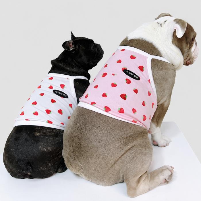 フレブル服 吸汗速乾 いちご メッシュ クロップド タンクトップ L XL 2XL 3XL 4XL 5XL 中型犬 大型犬 フレンチブルドッグ 夏 doggystar ドッギースター |  | 15
