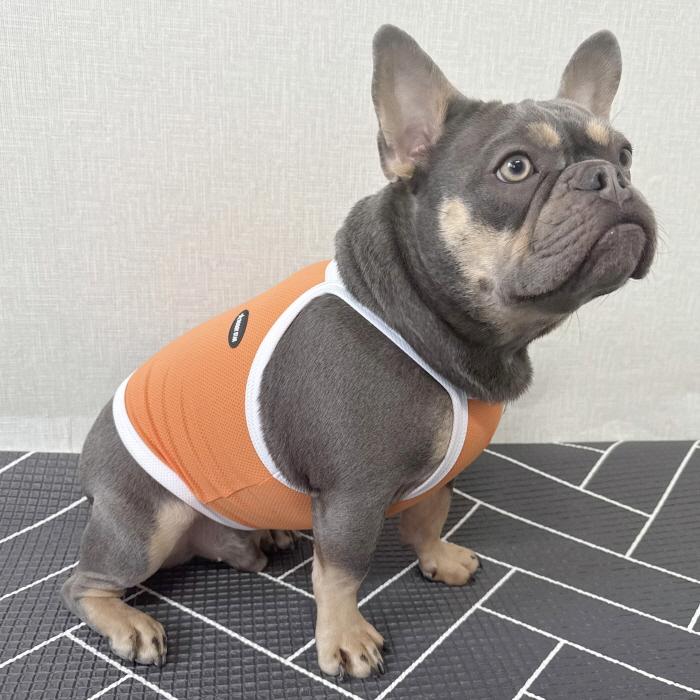 フレブル服 接触冷感 ひんやり クール スポーツ クロップド タンクトップ L XL 2XL 3XL 4XL 5XL 中型犬 大型犬 フレンチブルドッグ 夏 doggystar ドッギースター | 