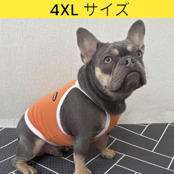 フレブル服 接触冷感 ひんやり 4XL クール スポーツ クロップド タンク