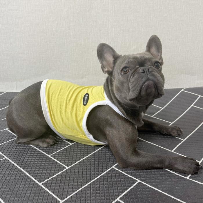 フレブル服 接触冷感 ひんやり クール スポーツ クロップド タンクトップ L XL 2XL 3XL 4XL 5XL 中型犬 大型犬 フレンチブルドッグ 夏 doggystar ドッギースター |  | 15