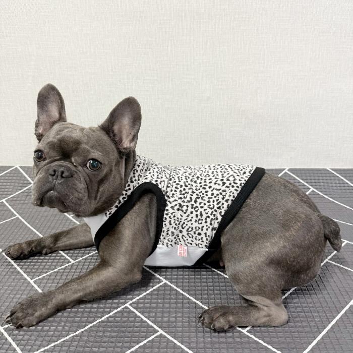 フレブル服 ヒョウ柄 タンクトップ レオパード L XL 2XL 3XL 4XL 5XL 中型犬 大型犬 フレンチブルドッグ パグ  夏 doggystar ドッギースター |  | 13
