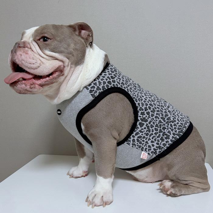 フレブル服 ヒョウ柄 タンクトップ レオパード L XL 2XL 3XL 4XL 5XL 中型犬 大型犬 フレンチブルドッグ パグ  夏 doggystar ドッギースター |  | 15