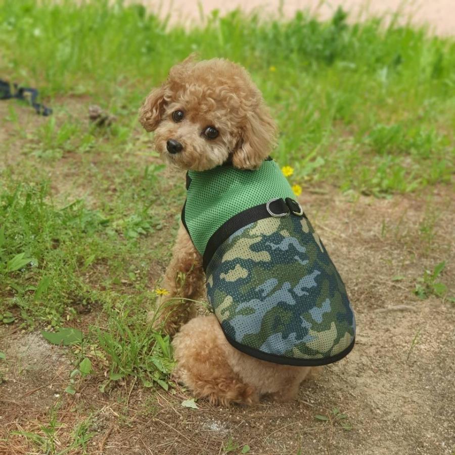 犬 保冷剤 冷却 ハーネス S M L Xl 犬用ハーネス 胴輪 ペット用 犬服 小型犬 中型犬 メッシュ クールベスト 犬 猫 熱中症対策 Doggystar ドッギースター H 2 Cockerpapa Doggystar 通販 Yahoo ショッピング
