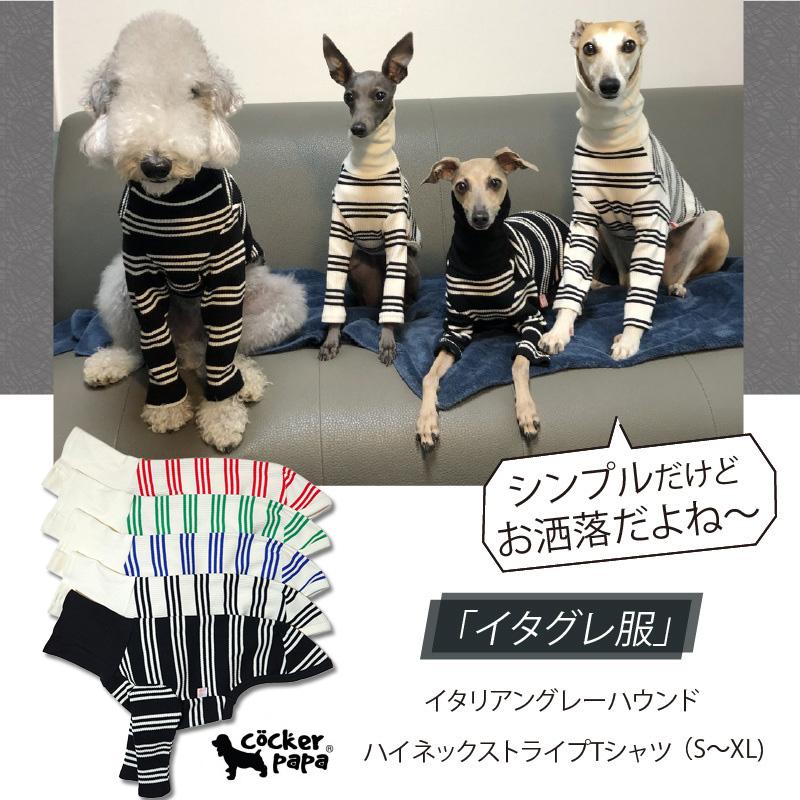 イタグレ服 ストライプTシャツ イタリアン グレーハウンド