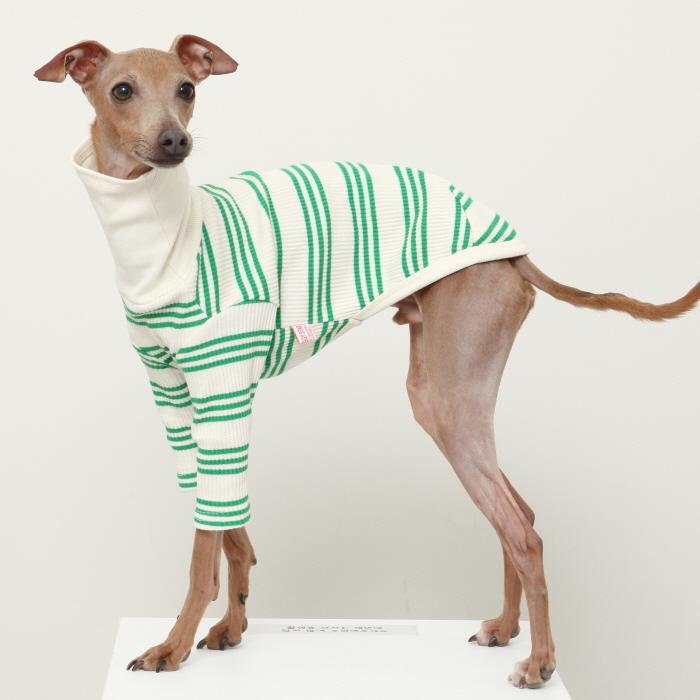 イタグレ服 ストライプTシャツ イタリアン グレーハウンド ウィペット