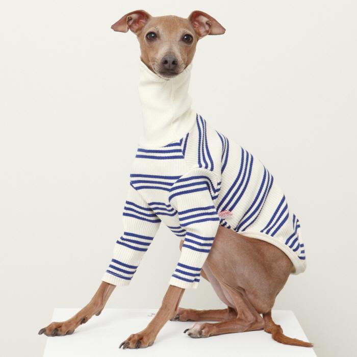 イタグレ服 ストライプTシャツ イタリアン グレーハウンド ウィペット