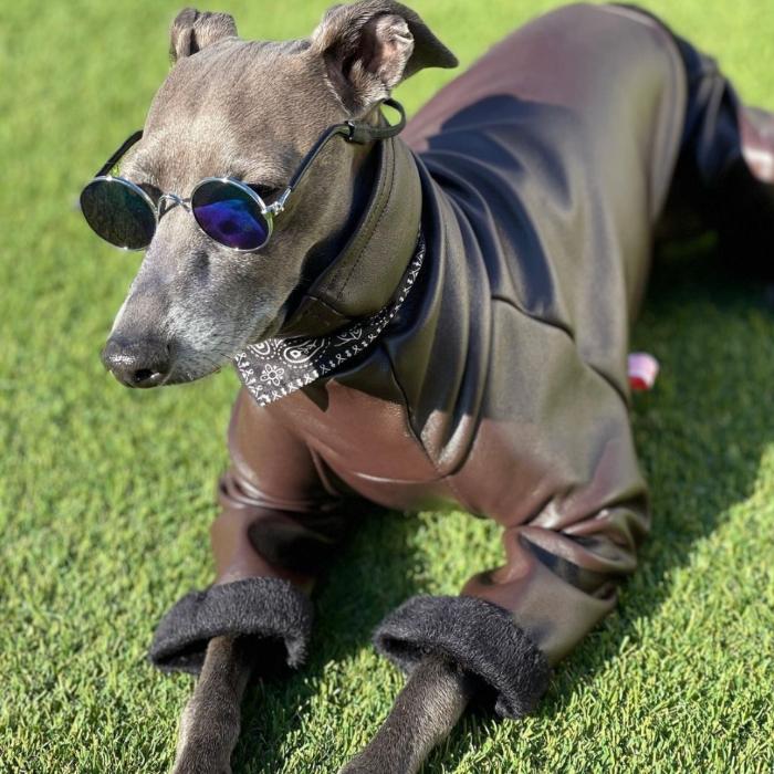ウィペット服 レザーミンク ロンパース 起毛 中型犬 大型犬 秋 冬 服