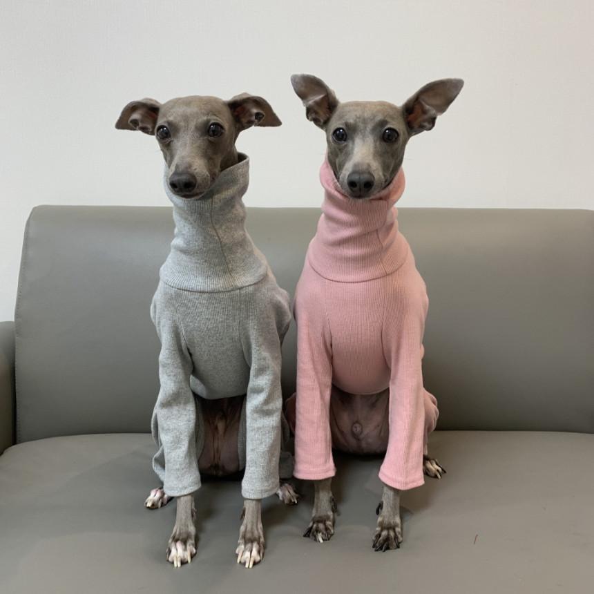 イタリアン グレーハウンド リブ地 ロンパース S M L Xl ウィペット服 ベドリントンテリア服 イタグレ服 Doggystar ドッギースター 犬服 犬 服 Ig 2 Cockerpapa Doggystar 通販 Yahoo ショッピング