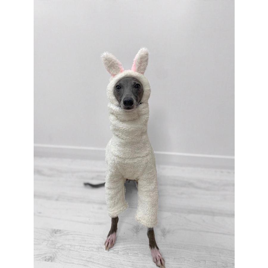 イタグレ 帽子トナカイ耳 うさぎ 耳 スヌード ボア フリース 被り物