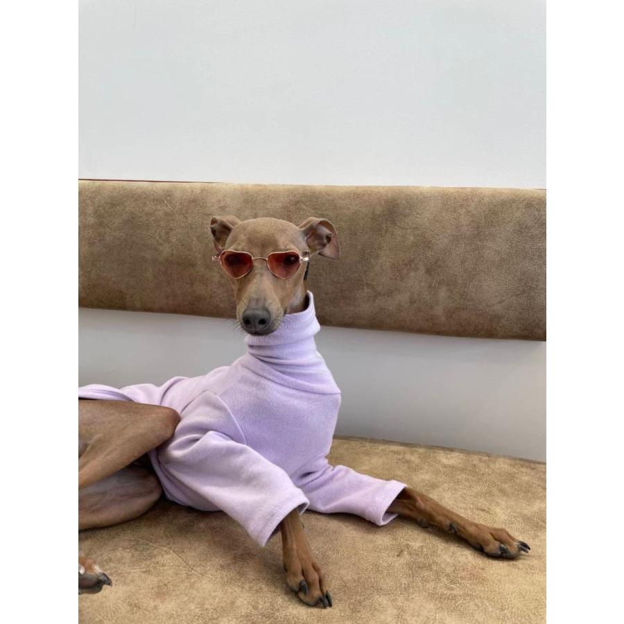 イタグレ 服 10カラーTシャツ イタリアン グレーハウンド ウィペット