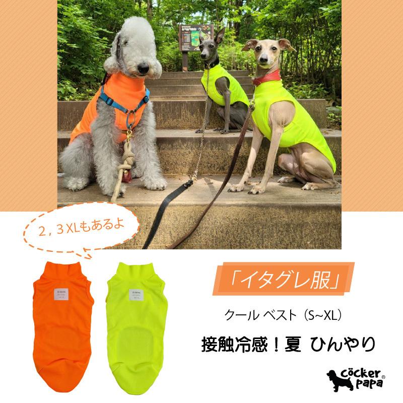 イタグレ服 ひえひえ クールベスト 小型犬 中型犬  夏服 接触冷感 熱中症対策 doggystar 蛍光色｜cockerpapa