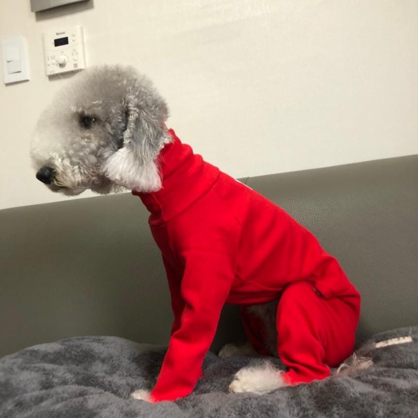 ウィペット 服 リブ地ロンパース 3XL 春 夏 秋 冬 ベドリントン